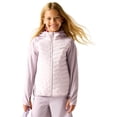 thumbnail image 4 of Regatta Boys/Girls Andreson Hybrid Padded Jacket, 4 of 5