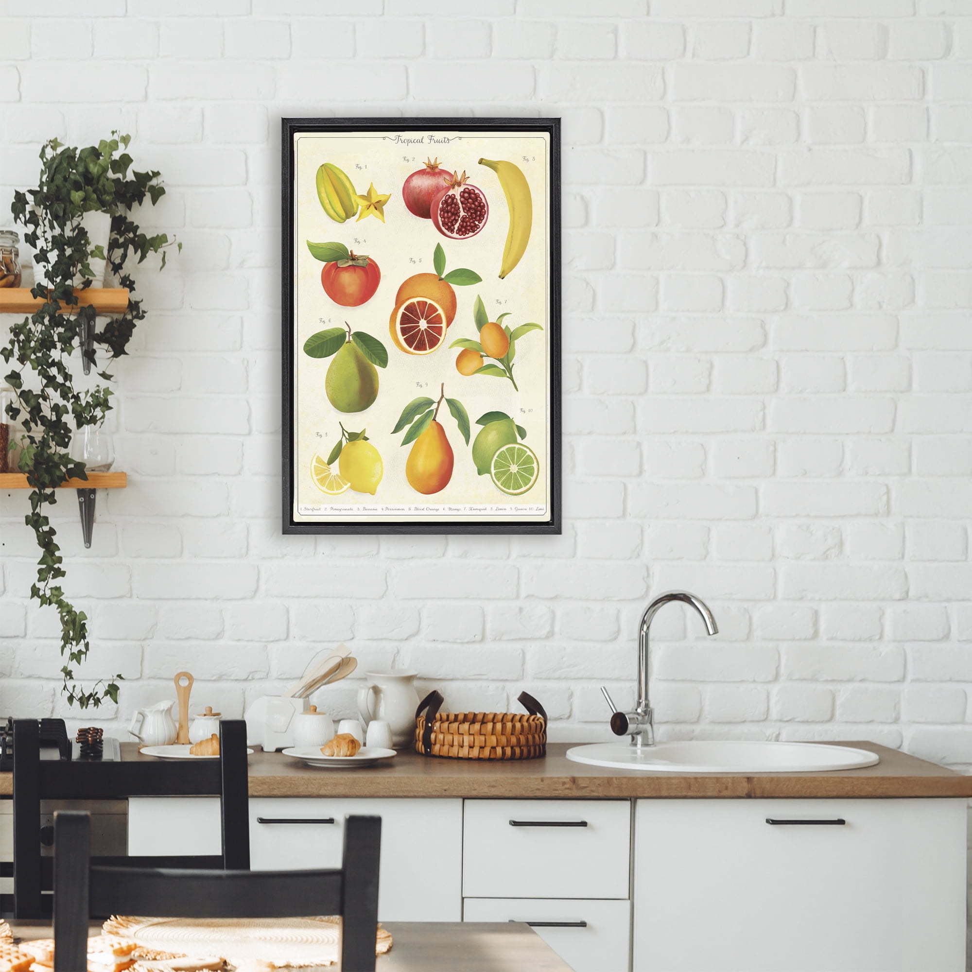 Stupell Industries Vintage Tropical Fruit Studies Black Framed Floater Canvas Wall Art, design by Diane Neukirch