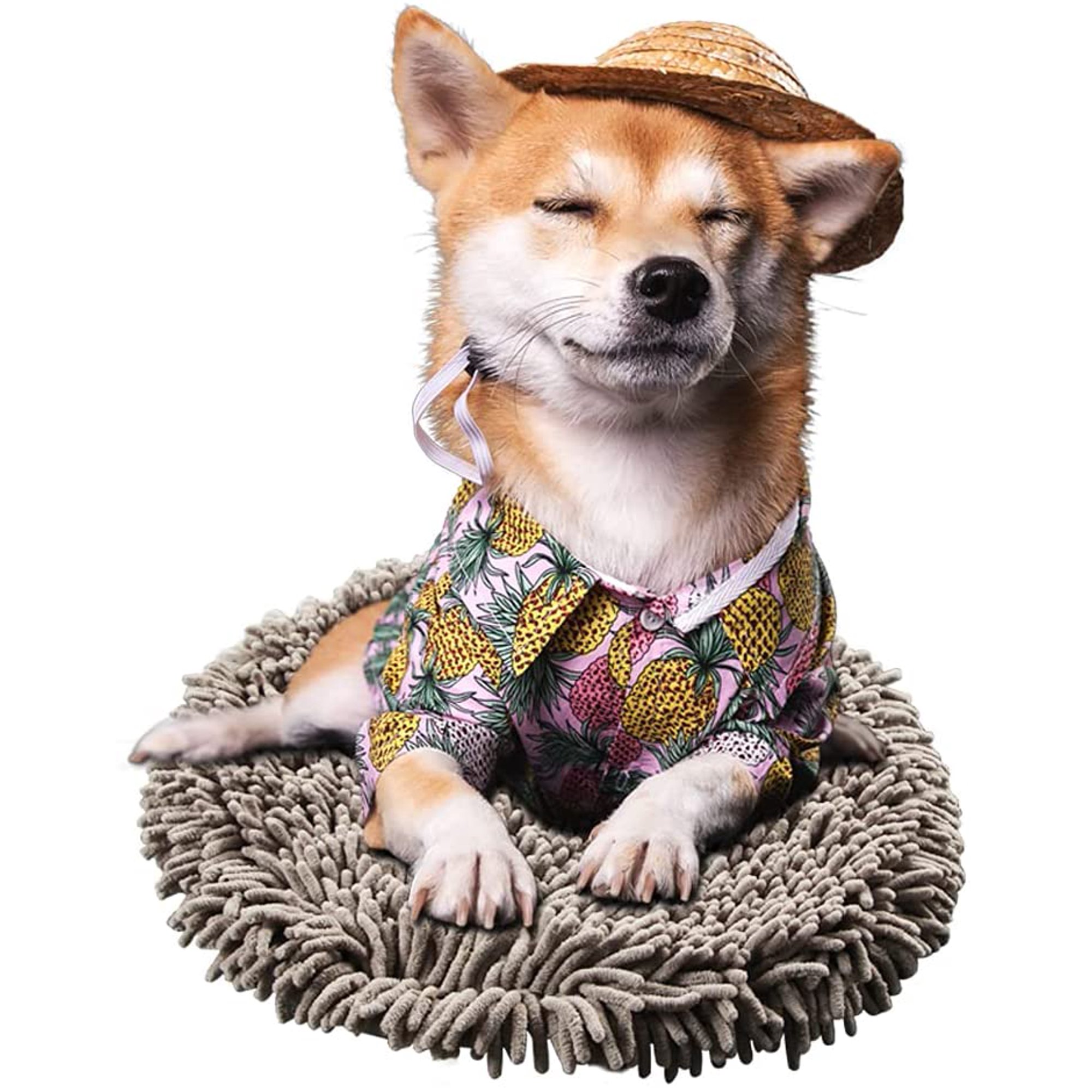 How Do Dog Training Pads Work