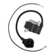 thumbnail image 4 of Bobina del motor,Pieza de repuesto del conjunto de bobina de encendido,Accesorios para sopladores de hojas con piezas de motor premium,Módulo de encendido conveniente de alto, 4 of 9