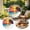 D, variant on Tropical Beach Sunset Acrylic Puzzle Ornament 7.9" DIY Window Hanging Suncatcher Double-Sided Light Transmitting Decor Creative Art Pendant for Home & Garden Decor