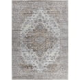 thumbnail image 2 of Rug Branch Sakarya Collection Oriental Distressed Indoor Area Rug, 2 of 8