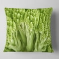 thumbnail image 2 of Designart Fresh Green Romanesco Florets - Floral Throw Pillow - 16x16, 2 of 5