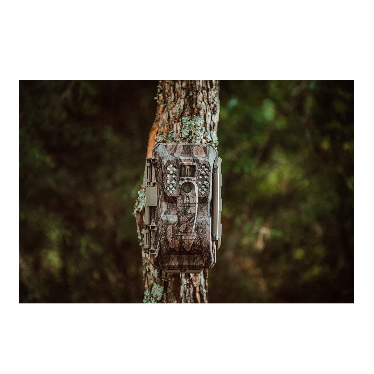 moultrie cellular camera xv 6000