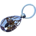 thumbnail image 3 of Trendy Zone 21 Keychain with Brown Spider Resin Key Ring| Key Chain Oval Shape Creative 2” Spider Keychain for Men & Women, Spider Keyring || 2” Pendant Height|Clear Background, 3 of 5