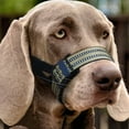 thumbnail image 5 of Nylon Dog Muzzle Guard Secure Training Cover for Aggressive Dogs Adjustable Stop Chewing for Public, 5 of 9
