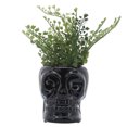 thumbnail image 2 of Sagebrook Home Ceramic Skull Vase Contemporary Gothic Decorative Skull Vase for Succulents or Small Plants, 2 of 8
