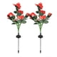 thumbnail image 3 of Luz De Rosa De Césped, Luz De Rosa Solar 6LED Viva Para Exteriores Para Patio OTVIAP Rojo, 3 of 8