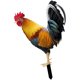 thumbnail image 5 of Estatua de pollo en estacas, decoración de jardín, acrílico decorativo, estaca de pollo Estilo B, 5 of 9