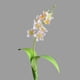 thumbnail image 4 of Silk Wind Flowers - Arreglo floral artificial realista para decoración del hogar, centro de mesa, boda, salón en blanco, rosa, morado, amarillo, verde, 4 of 6