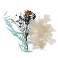 thumbnail image 1 of GUOOL Real Dried Pressed Flowers Natural Plants に適用 Scrapbooking, DIY Candle, D, 1 of 8