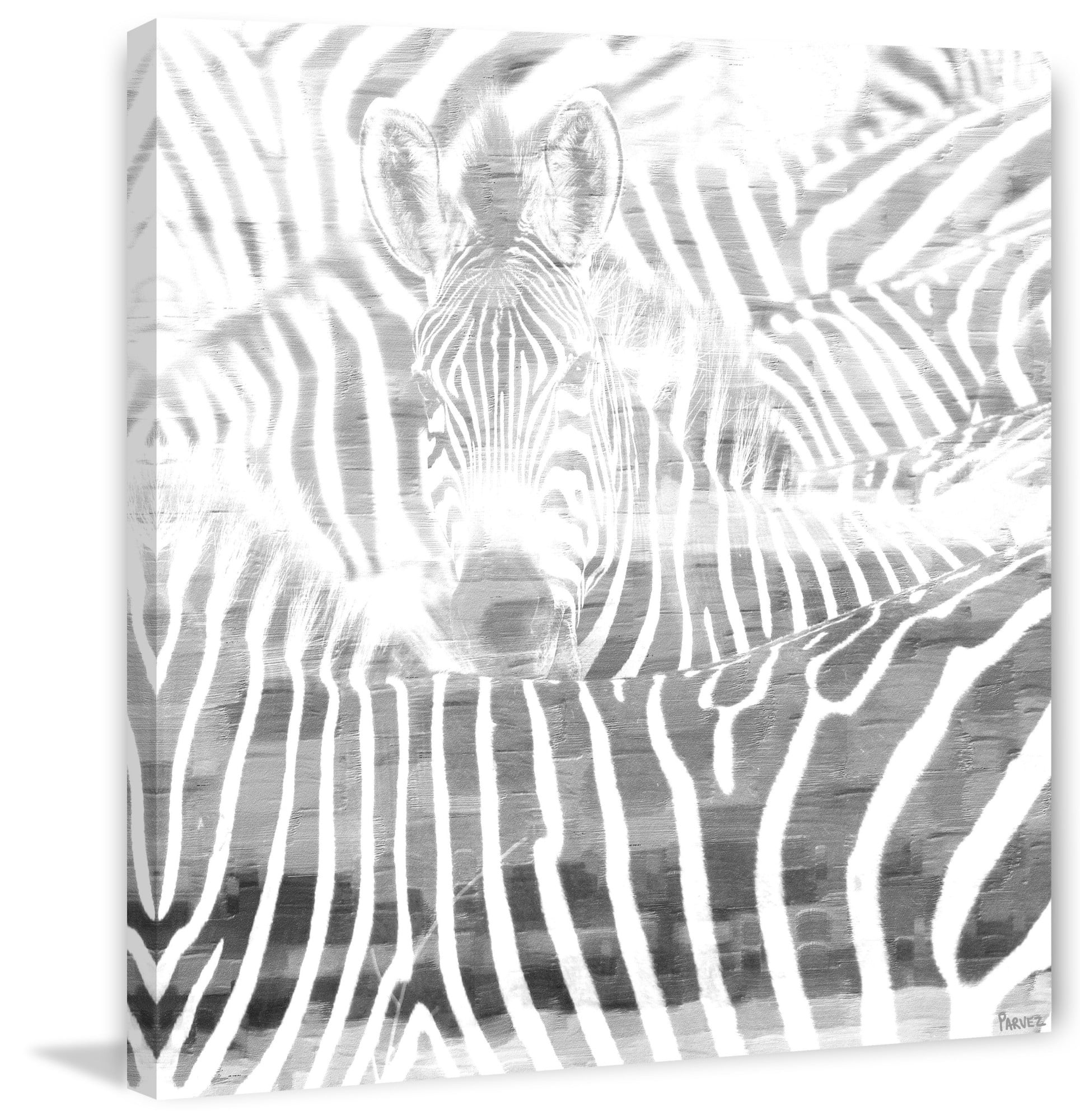 Parvez Taj "Zebra Stare" Print on Canvas