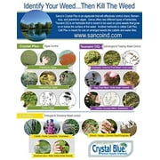 Crystal Plex 1 Gal. Liquid 1-Acre Coverage Area Algae Control Step 3 Gallon