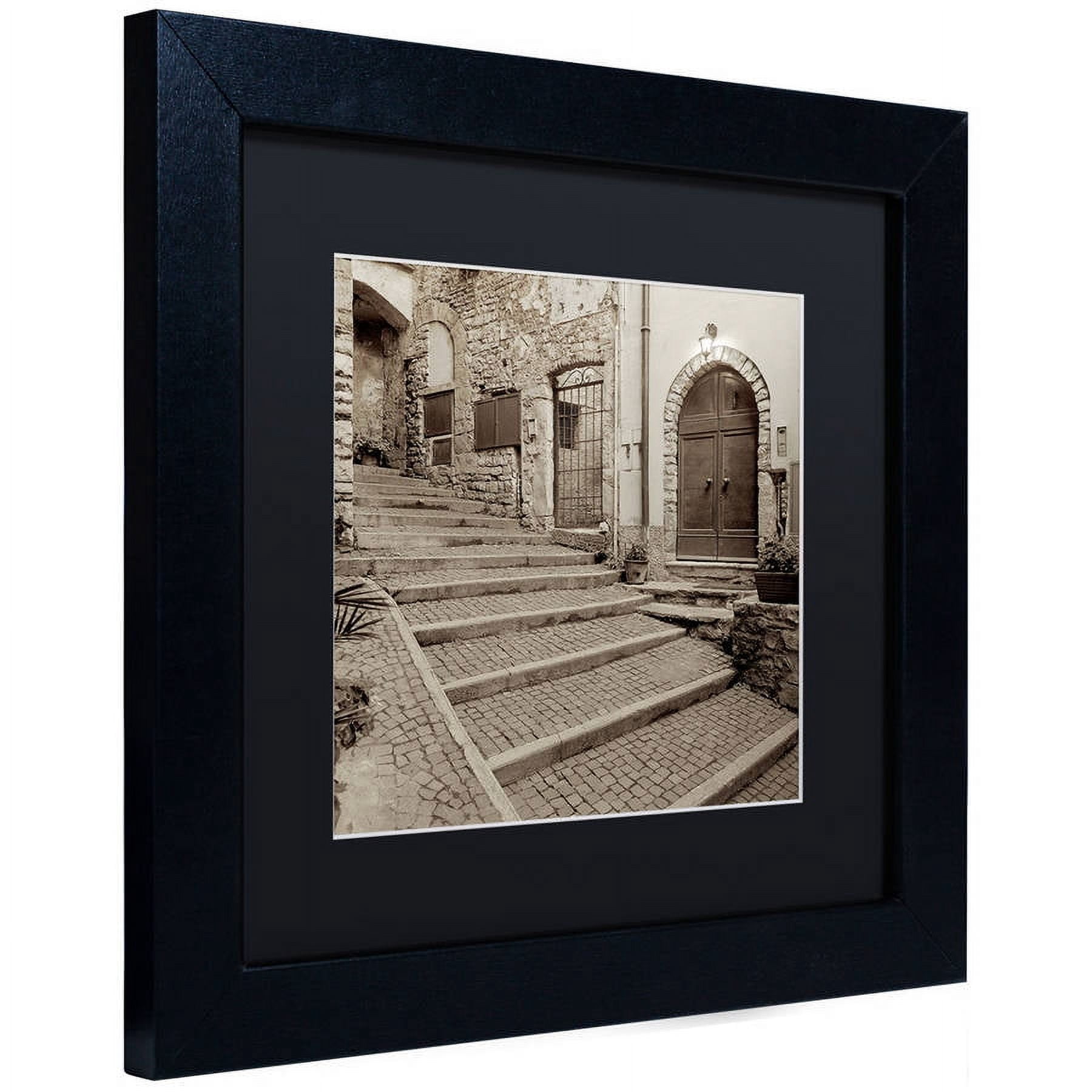 Trademark Fine Art "Lombardy I" Canvas Art by Alan Blaustein, Black Matte, Black Frame