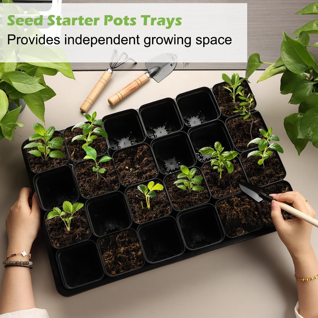 3.5 inch (9CM) Square Nursery Pots 60pcs, Sturdy Seedlings Trays 5 Pcs, Seeds Starter Germination Tray, Microgreenings Planter Nursery Propagation 5 Sets