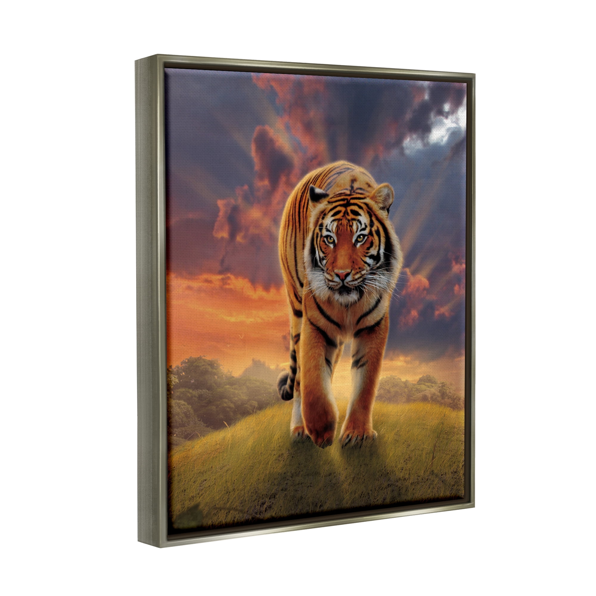 Stupell Industries Rising Tiger Sunset Animals & Insects Painting Gray Floater Framed Canvas Art Print Wall Art, 17 x 21