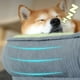 thumbnail image 5 of Pet Dog Bed Soft Warm Sleeping Mat On The Floor Winter Dog Cat Sofa Beds Puppy Cushion Houses Habitats Small Medium Pet Supplies ShopWise Round, 5 of 9
