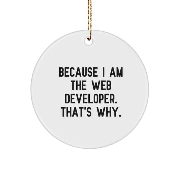 Cool Web Developer , Because I Am The Web Developer. That's Why., Sarcastic Holiday Circle Ornament for Friends