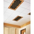 thumbnail image 2 of Fluorescent Light Covers for Ceiling Lights 4 Pack, Orange Yellow Fall Magnetic Ceiling Light Covers 2x4ft for Classroom Office, Pumpkins Harvest Botanical Thanksgiving Black Drop Ceiling Light Shade, 2 of 7