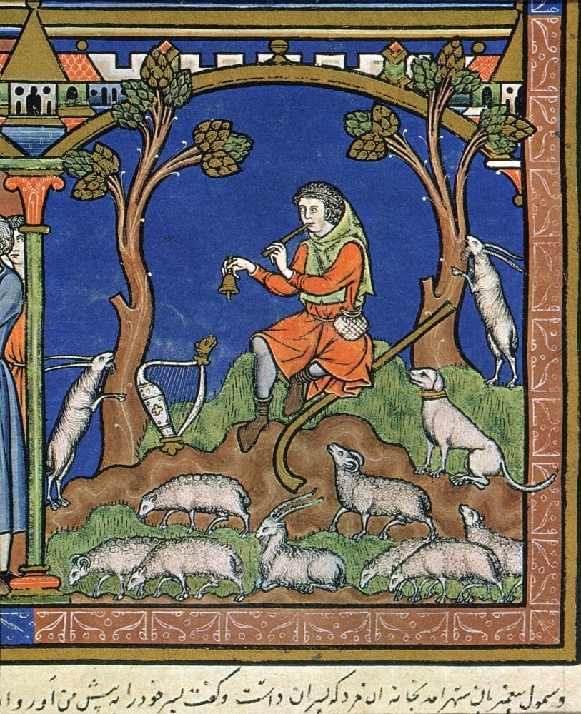 the shepherd david the shepherd david