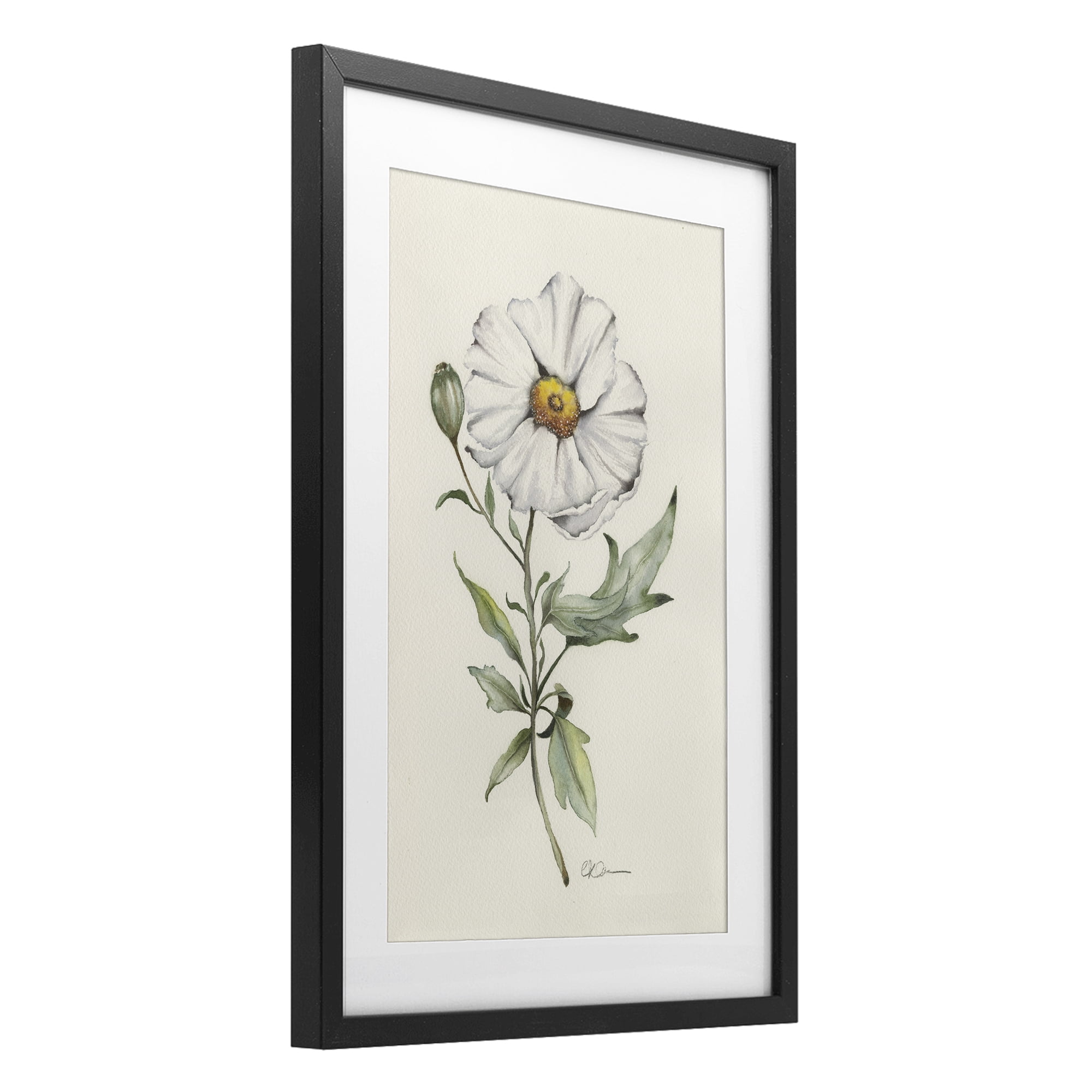 Stupell Industries Natural Wild Blossom Sprig Black Framed Print Under Glass, design by Cady Driver