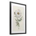 thumbnail image 2 of Stupell Industries Cottage Natural Wild Blossom Sprig Black Framed Print Under Glass, 14 x 20, by Cady Driver, 2 of 8