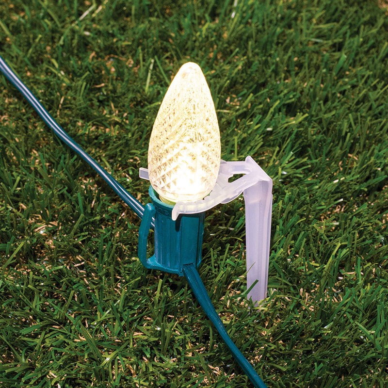 Christmas Lights Stakes 