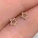 thumbnail image 3 of Aretes de Estrella en Oro 10k Lorenza Lorenza L100-126, 3 of 3