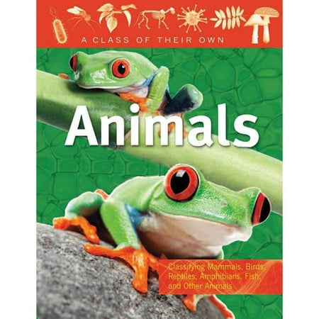 Animals : Mammals, Birds, Reptiles, Amphibians, Fish, and Other Animals ...