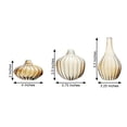 thumbnail image 2 of Balsa Circle 3 Gold 4" Round Glass Vases Home Decor Style, 2 of 8