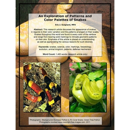 Snake Pattern - An Exploration of Patterns and Color Palettes of Snakes - eBook