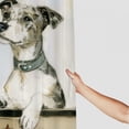 thumbnail image 3 of Orinice Dog Bone Bathroom Decor Set Colorful Luxurious Graphic Print Polyester Fabric Fashion Shower Curtain with Hooks, 100% Polyester Waterproof Washable Curtains 60x72, 3 of 7
