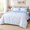 Light Blue-Queen, variant on Pink Queen Size 3 Piece Floral Shabby Chic Coquette Bedding Comforter Set