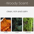 thumbnail image 4 of 90+ days long-lasting - car air freshener set with 2 replacement pads - cedar wood scent car diffuser - car sun visor interior accessories decorative white, 4 of 5