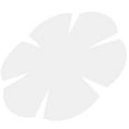 thumbnail image 2 of Bowl Pad Cutting Ruler Flower Shape Templates Clothing Bowl Cushion Ruler for DIY, 2 of 9