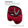 thumbnail image 2 of Calzoncillos bóxer con soporte para bolsa Ball Hammock Shinesty para hombre, paquete de 3, 2 of 5