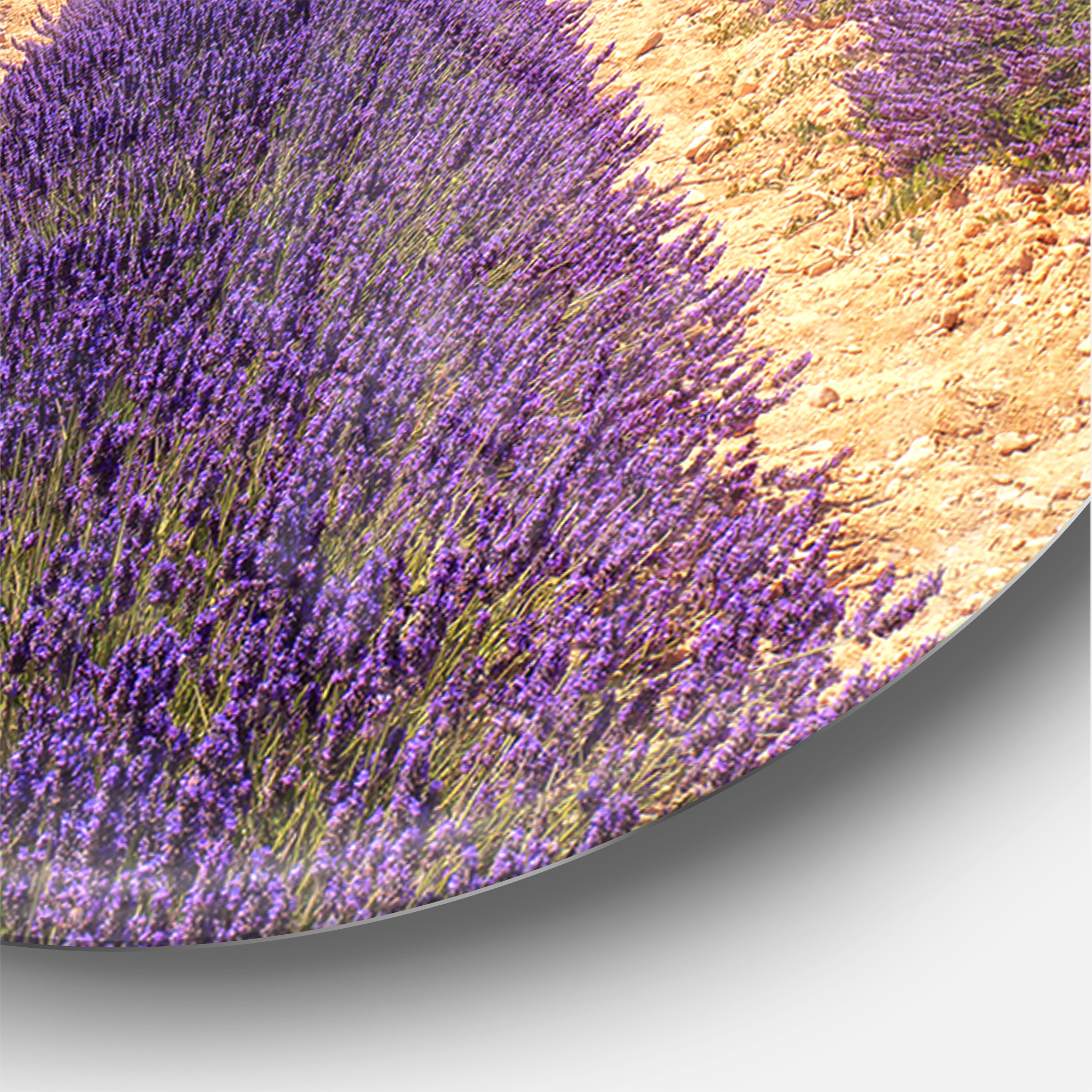 Designart 'Blooming Lavender Flower Field ' Farmhouse wall clock