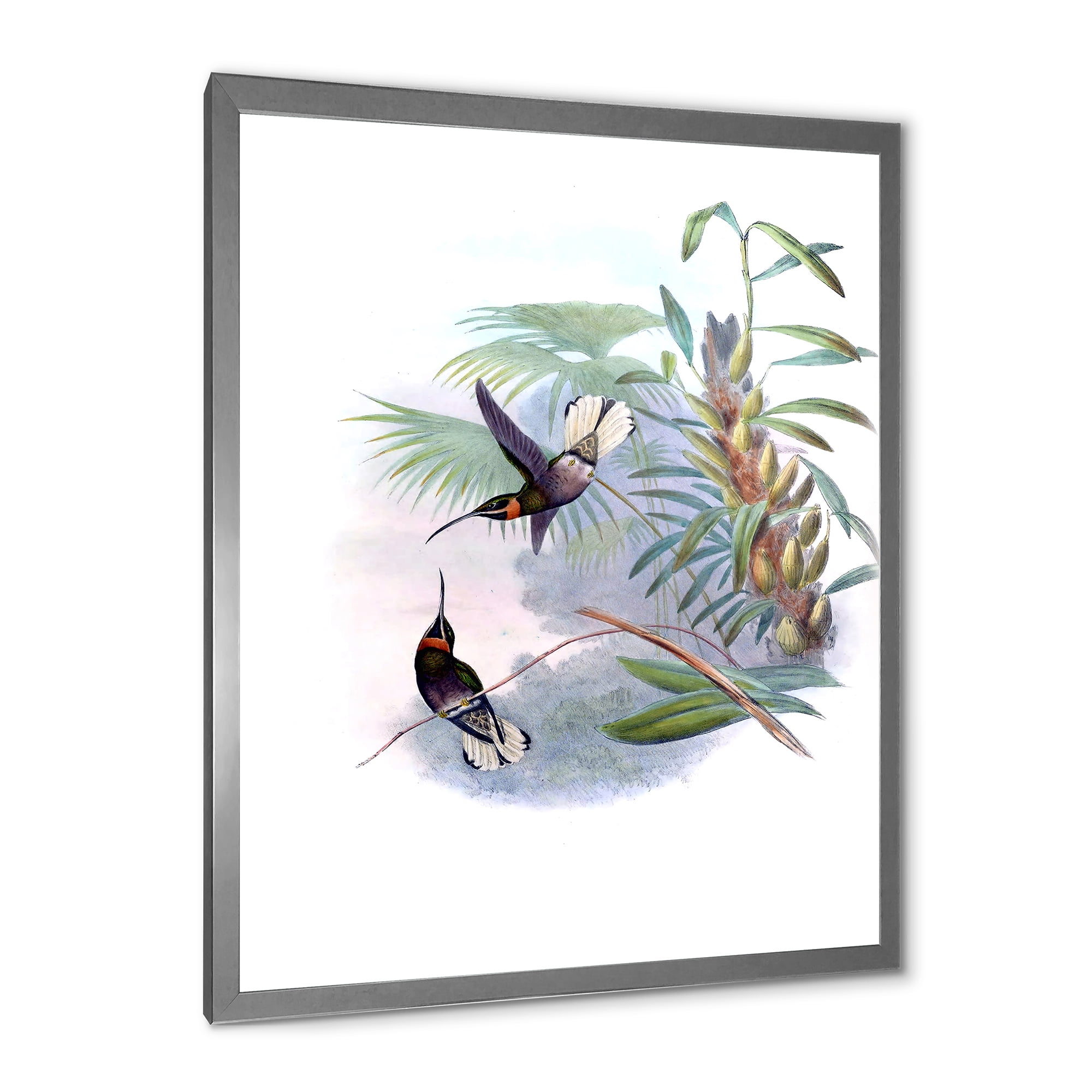 Designart 'Ancient Hummingbird On A Branch' Traditional Framed Art Print