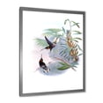 thumbnail image 2 of Designart 'Ancient Hummingbird On A Branch' Traditional Framed Art Print, 2 of 4