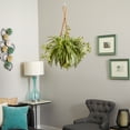 thumbnail image 5 of Nearly Natural 20" Plastic Spider Artificial Plant in Hanging Basket, Green, 5 of 6