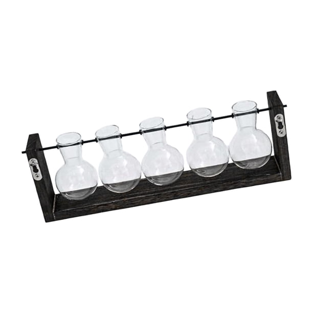 Jarrones de plantas hidropónicas, macetero colgante de cristal, maceta de propagación de plantas montada en la pared, bonsái para decoración del hogar 38cm x 125cm Macarena jarrones para colgar en la pared