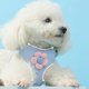 thumbnail image 2 of MADDEN Dog Cat Harness Vest Chest Rope Set Breathable Adjustable Pet Harness for Small Medium Dogs Outdoor Walking ShopWise Round, 2 of 9