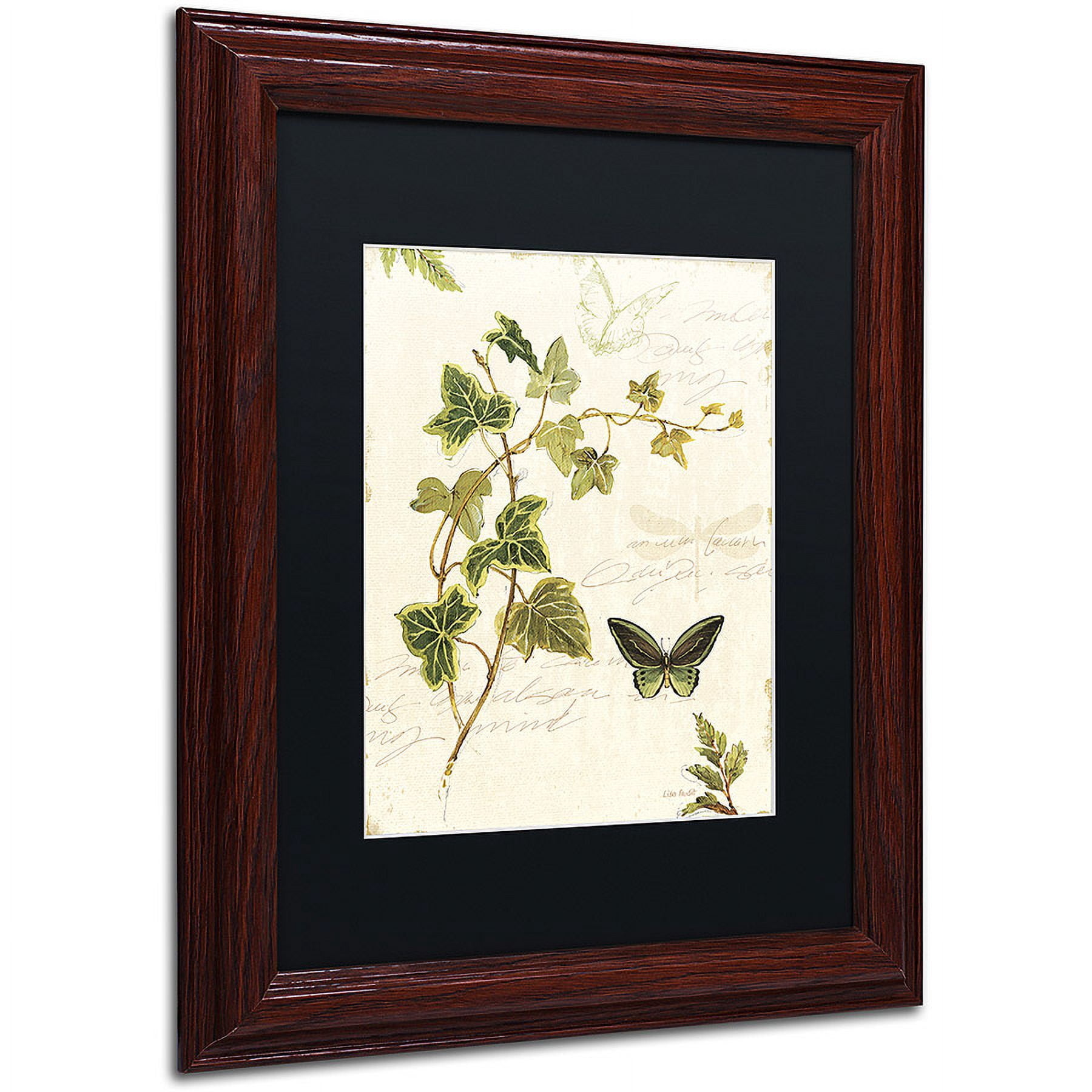 Trademark Fine Art "Ivies and Ferns IV" Canvas Art by Lisa Audit, Black Matte, Wood Frame