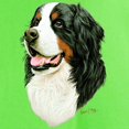 thumbnail image 3 of CafePress - Bernese Mountain Dog Light T Shirt - Light T-Shirt - CP, 3 of 4