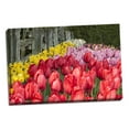 thumbnail image 2 of Gango Home Decor Tulip Bed II by Dana Styber (Ready to Hang); One 36x24in Hand-Stretched Canvas, 2 of 4