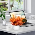 thumbnail image 5 of Artificial Fall Plants in Pot,Fall Small Space Artificial Plants,UV-resistant Warm Faux Potted Plants for Bathroom Shelf Office Desk Home Farmhouse Room Coffee Table Tray Decor, 5 of 6