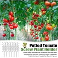 thumbnail image 6 of 10 Pack Spiral Plant Stakes, Tomato Twist Support for Climbing Plants, Outdoor Garden Stakes for Tomatoes, Roses, Vines and Indoor Potted Plants, 6 of 7