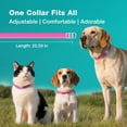 thumbnail image 4 of ZingZap Flea & Tick Collar 2-Pack Pink, Protects from Biting Insects, Adjustable Fits Both Dogs & Cats, Built-in Plant Based Formula, Slow-Release Lasting Protection, Waterproof, 4 of 6