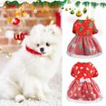 thumbnail image 3 of Christmas Festival Pet Skirt for Party - Attractive, Elegant, See-through Mesh, Xmas Tree Pattern, Bells Print, Photograph Prop, Polyester, Christmas Pet Skirt, 3 of 8