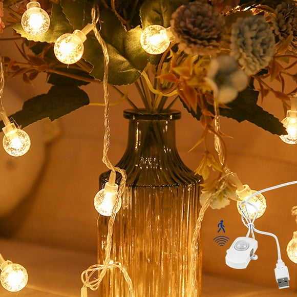 FSLiving String Lights,Waterproof Globe Fairy Light For Christmas Party Bedroom Garden Decor, 6.5ft Curtain Lights with PIR Motion Sensor Cord,Auto ON/Off - Set of 2 (Warm White)